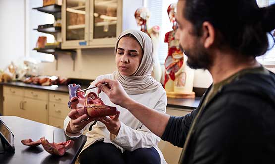 students in a biology class looking at a model of a human heart